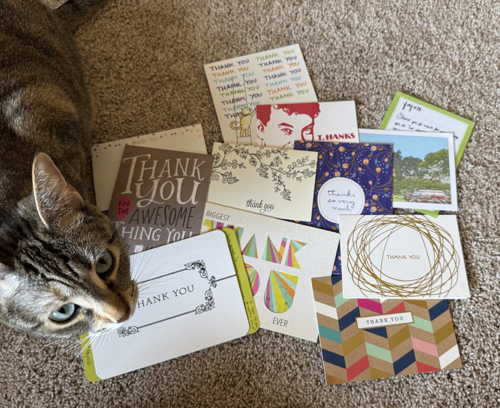 Artemis with a collection of Thank You cards I've accumulated from my grateful students.
